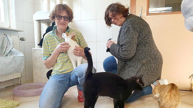 Iris Holzapfel (links), Leiterin des Tierheims Stapelmoor und Andrea Pastoor, Vorsitzende der Streunerkatzen Rheiderland, sind sich einig: Private Pflegestellen als Ersatz zur Unterbringung im Tierheim sind wichtig. Zuverlässige Tierfreunde für diese Aufgabe zu gewinnen, ist aber nicht ganz einfach. Foto: Gettkowski/Archiv