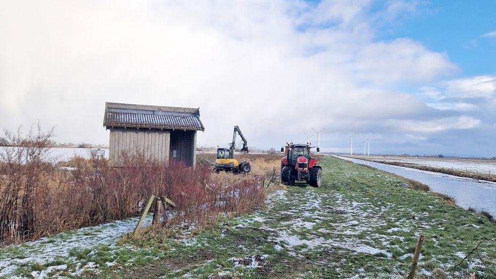 Laut Schulte sollten am Kolk nur Bäume und Büsche rund um die Beobachtungshütte entfernt werden, unter anderem, damit man wieder auf den Brutponton auf dem Wasser blicken kann. Dort nisteten vor einiger Zeit Seeschwalben. Foto: Gettkowski