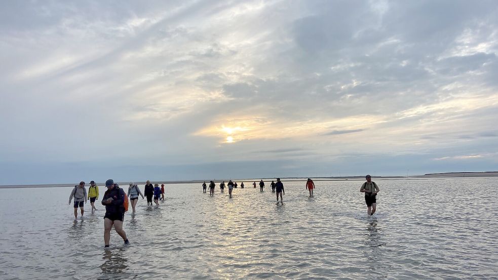Bei ablaufendem Wasser ins Watt: Unterwegs mit einem zertifizierten Nationalpark-Wattführer gibt es spannende Infos über den Lebensraum vor unserer Haustür und einige Abenteuer zu erleben. Foto: Melanie Hanz
