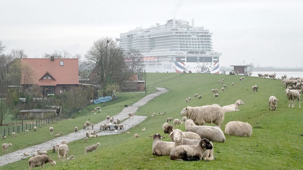 Die Überführung eines Kreuzfahrtschiffs von der Meyer-Werft die Ems abwärts ist ein besonderes Spektakel. Foto: OZ/Archiv
