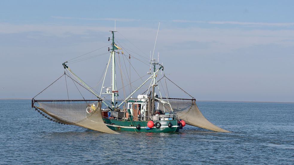 Von Norddeich aus wurde der Kutter "Nordstrand" nach seiner Erbauung zunächst eingesetzt, dann zog er um nach Greetsiel. Foto: Wagenaar/Archiv