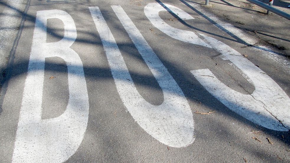 Den Bus hätte der junge Mann besser wegfahren lassen. Symbolfoto: Pixabay