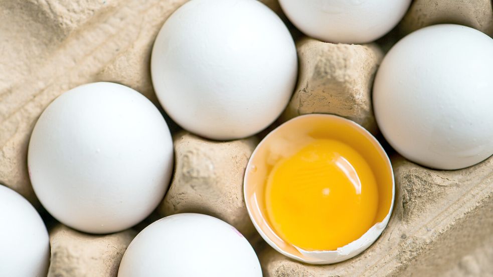 Die Deutsche Gesellschaft für Ernährung hat ihre Empfehlungen überarbeitet. Nun heißt es: Für einen gesunden Erwachsenen ist ein Ei pro Woche vollkommen ausreichend. Foto: Weigel/DPA