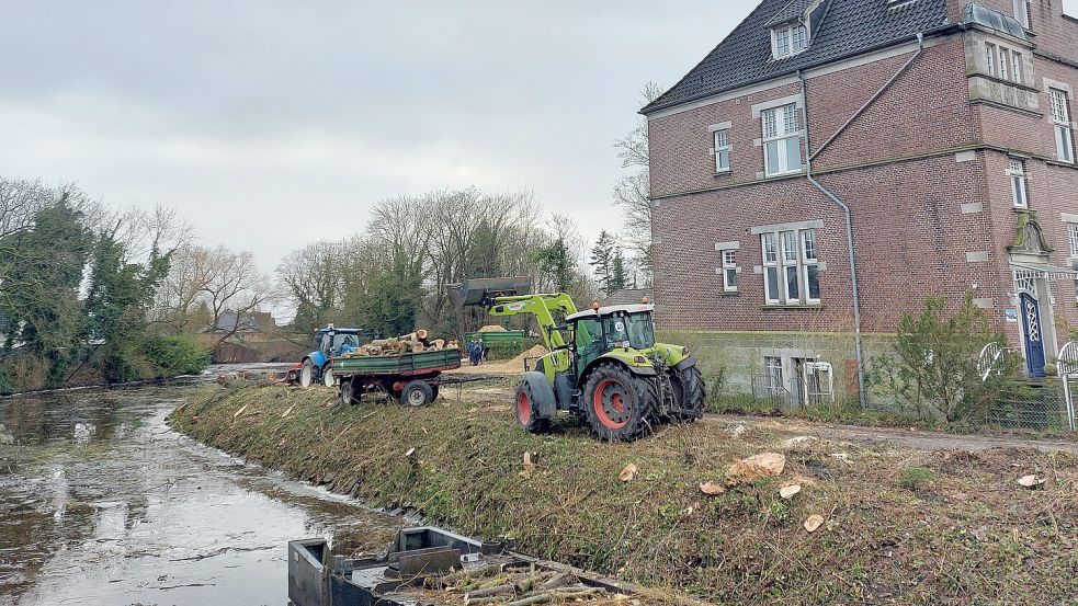 Mitte Januar 2024 wurden zahlreiche Bäume entlang des Borssumer Kanals in Wolthusen gerodet. Foto: Hanssen/Archiv
