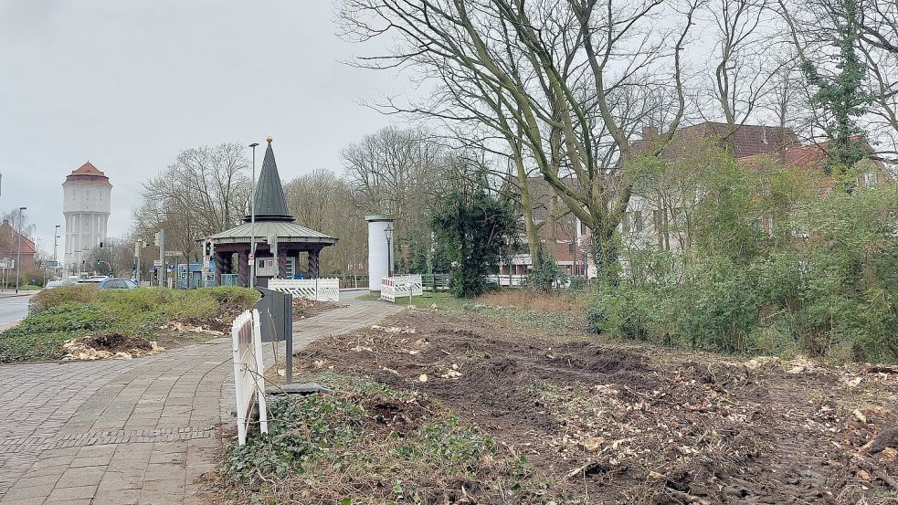 Der Kahlschlag zwischen Chinesentempel und Hahn‘scher Insel am 21. Februar 2024 sorgte für Gesprächsstoff. Foto: Hanssen/Archiv