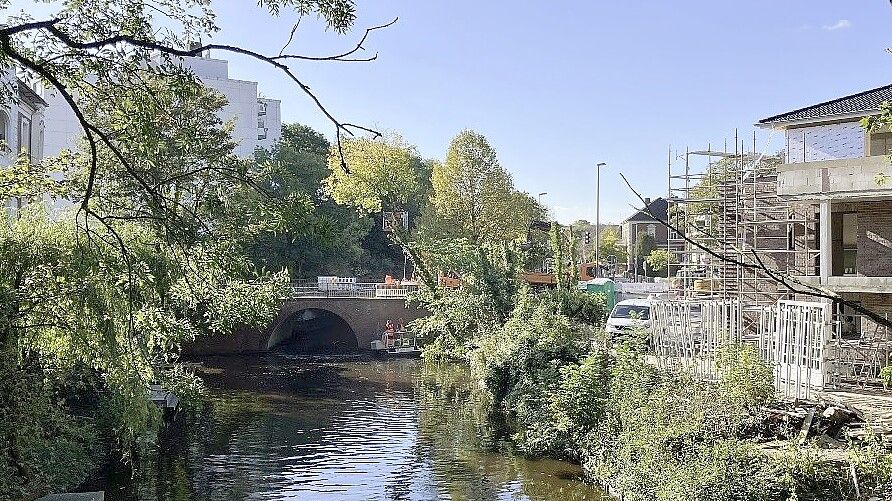Die Lindenhof-Kreuzung soll besser einsehbar sein, daher fielen im Oktober 2023 fünf Bäume. Foto: Schuurman/Archiv
