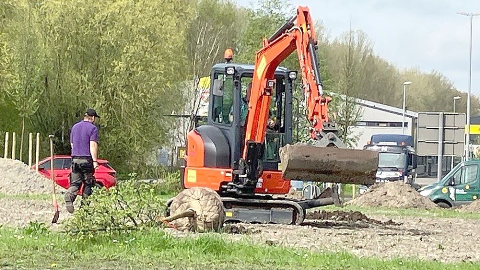 Beim VW-Kreisel in Emden werden Jungbäume eingepflanzt. Foto: F. Doden