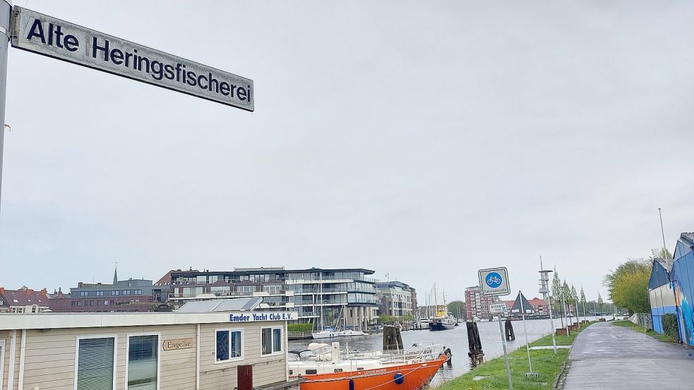 Die Straße "Alte Heringsfischerei" sollte grüner werden, deswegen wurden hier im Mai 2023 Bäume in Kübeln aufgestellt. Foto: Hanssen