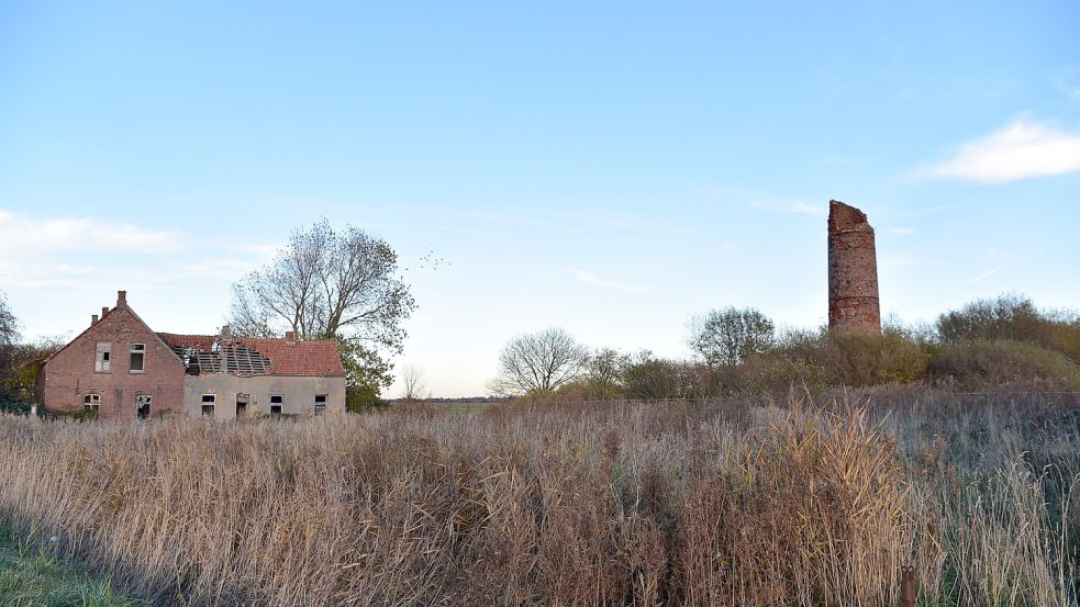 So sah die Ruine der Ziegelei noch im Januar aus. Der Turm musste schon vor Jahren zur Hälfte abgerissen werden, weil ein Blitz eingeschlagen war und Schäden verursacht hatte. Foto: Wagenaar/Archiv