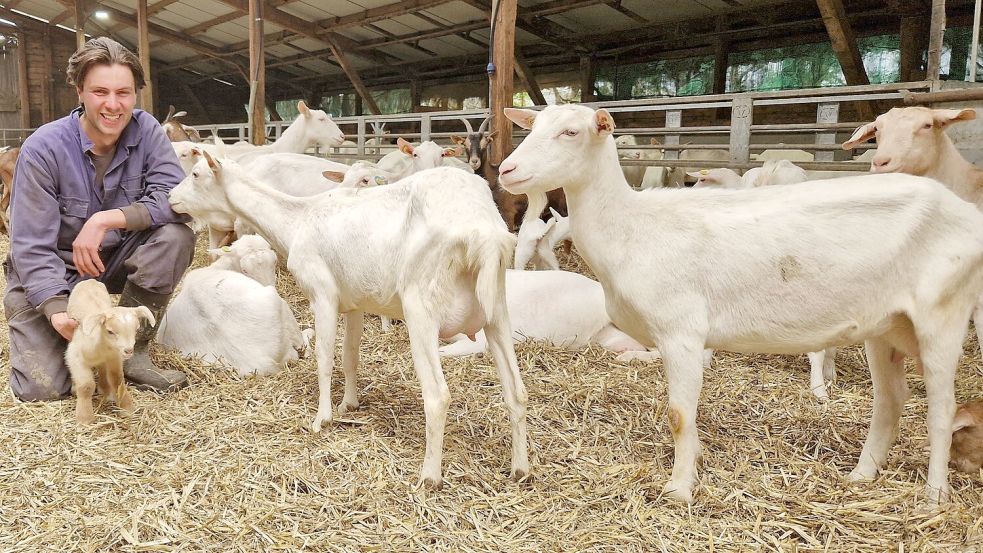Der 24-jährige Leon de Kloet betreibt am Süderweg in Weener einen Milchziegenhof. Der gebürtige Niederländer möchte gerne wieder einen Wochenmarkt in Weener etablieren. Foto: Gettkowski