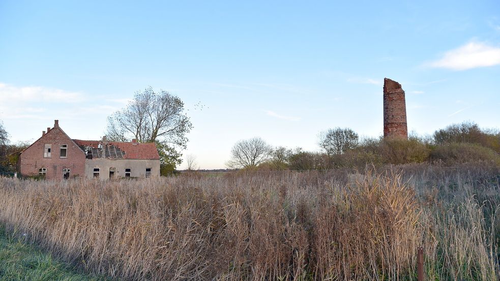 So sah die Ruine der Ziegelei noch im Januar aus. Der Turm musste schon vor Jahren zur Hälfte abgerissen werden, weil ein Blitz eingeschlagen war und Schäden verursacht hatte. Foto: Wagenaar/Archiv