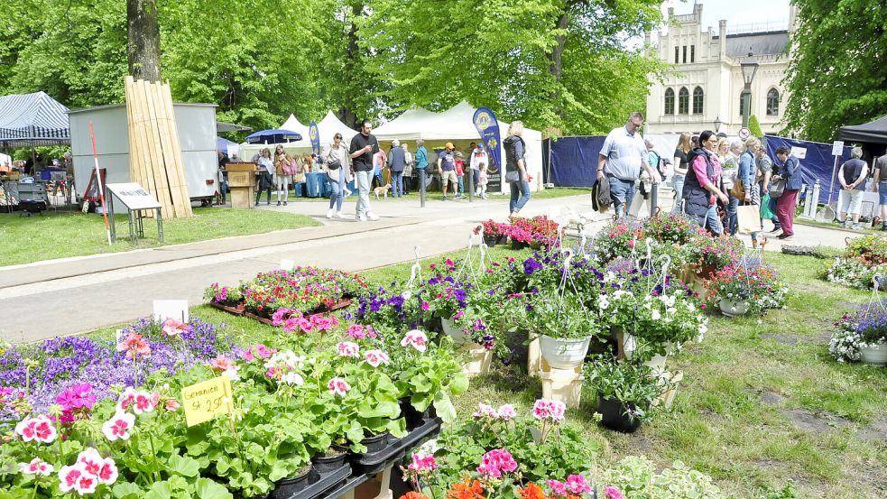 Leuchtende Farben bei den Anbietern von Balkonblumen. Foto: Wolters