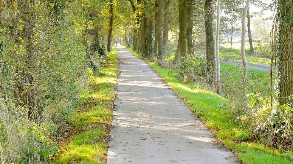 Ein Blick auf die neue Fahrbahn in Großefehn. Foto: Gemeinde Großefehn/Archiv