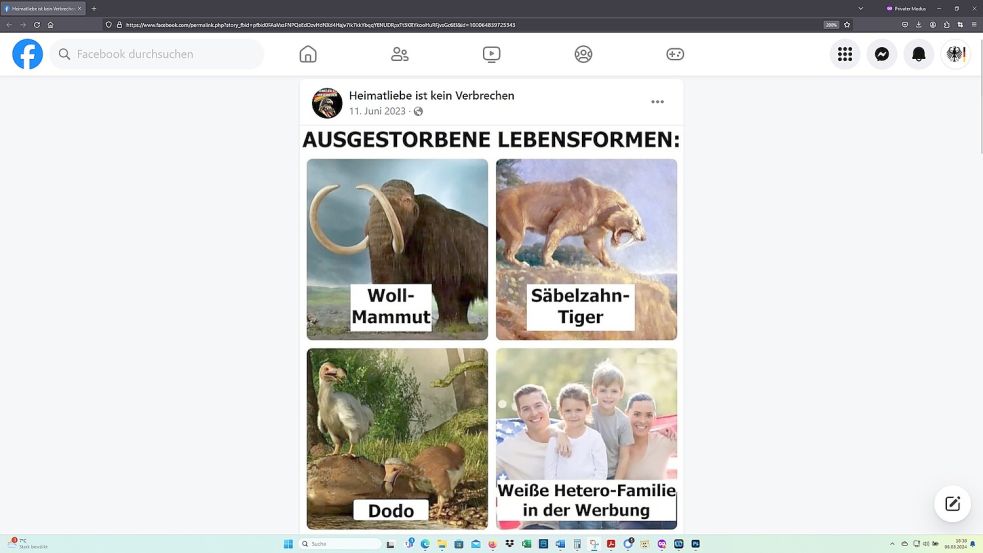 Auf der Facebook-Seite von "Heimatliebe it kein Verbrechen" wird die "weiße Hetero-Familie in der Werbung" als "ausgestorbene Lebensform" bezeichnet. Foto: Screenshot vom 06.03.2024 / Quelle: Facebook-Seite "Heimatliebe ist kein Verbrechen"