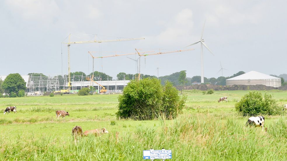 Auf dem Gelände stehen Kräne und Baumaschinen. Foto: Wagenaar