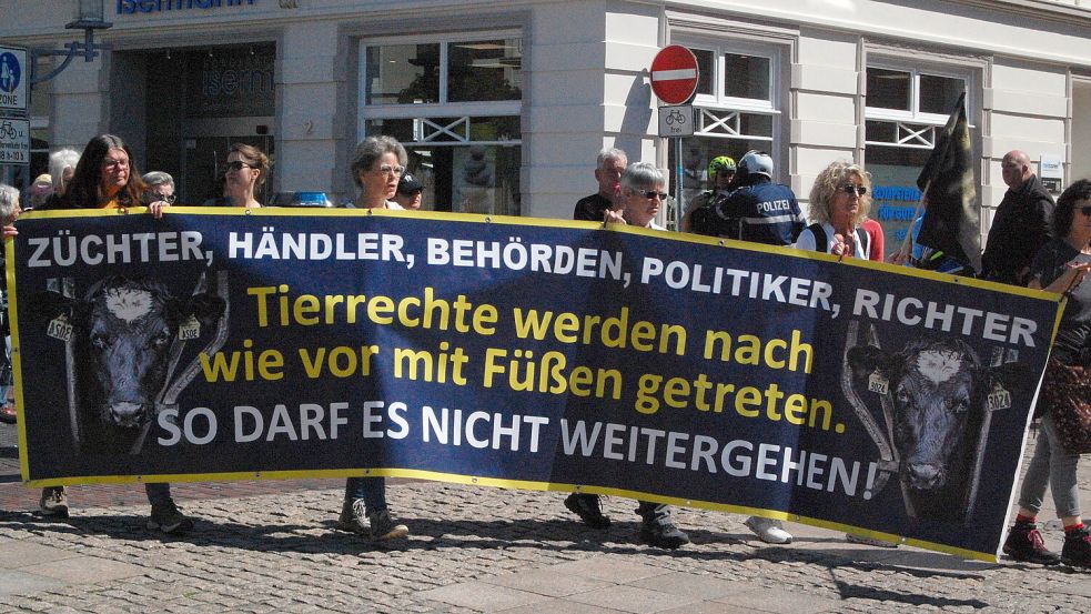 Manche Transparente fallen durch lange Texte auf.