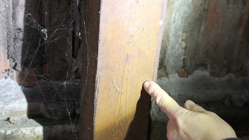 Diese Balken halten die Dachkonstruktion seit mehr als 100 Jahren. Die nah beieinander liegenden Jahresringe verraten, warum das so gut funktioniert. Foto: Oltmanns
