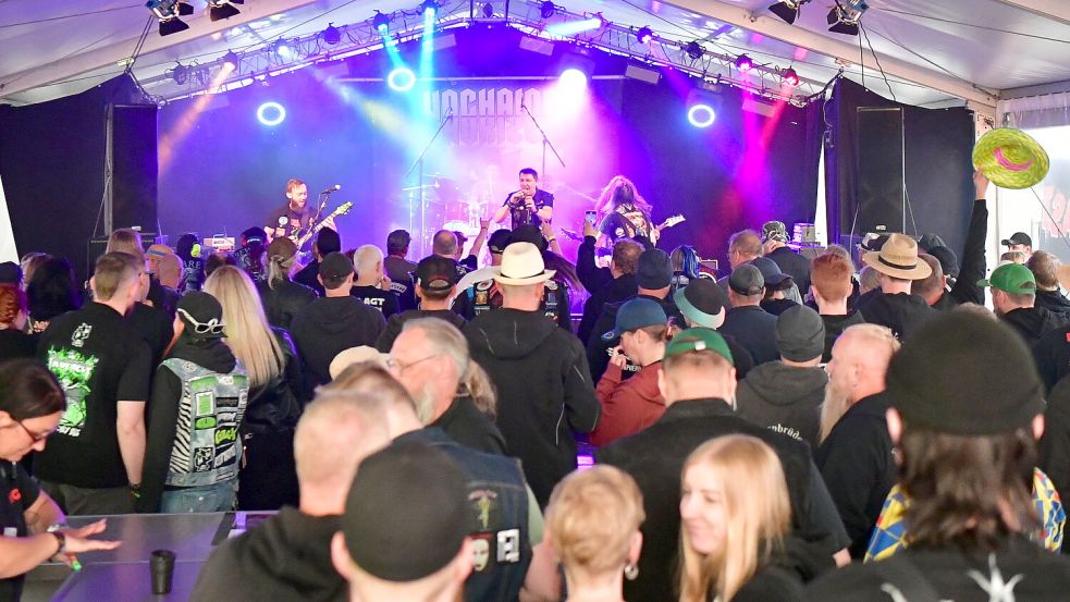 Beste Stimmung bei bestem Wetter: das „Let The Bad Times Roll“ in Manslagt. Fotos: Wagenaar