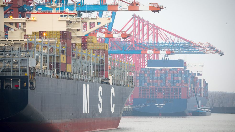 Exotische Arten kommen zum Beispiel durch das Ballastwasser der Seeschiffe in die Nordsee, hier im Hamburger Hafen. Foto: Christian Charisius/dpa
