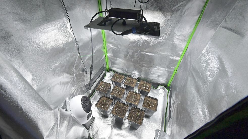 Der Anfang des ersten Cannabis Social Clubs Ostfrieslands. Foto: Ortgies
