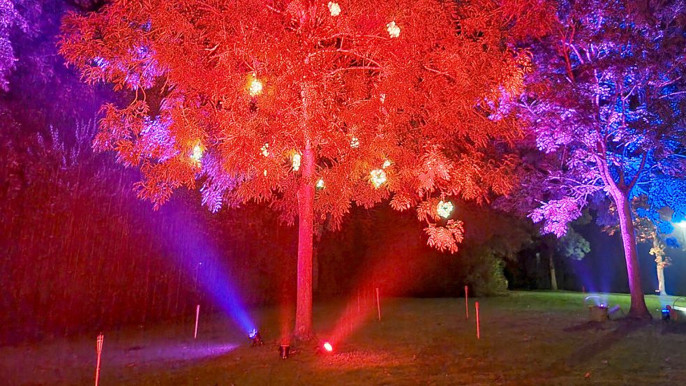 Die Bäume im Park in Oldersum werden in buntes Licht getaucht. Foto: Förderverein der Oldersumer Feuerehr