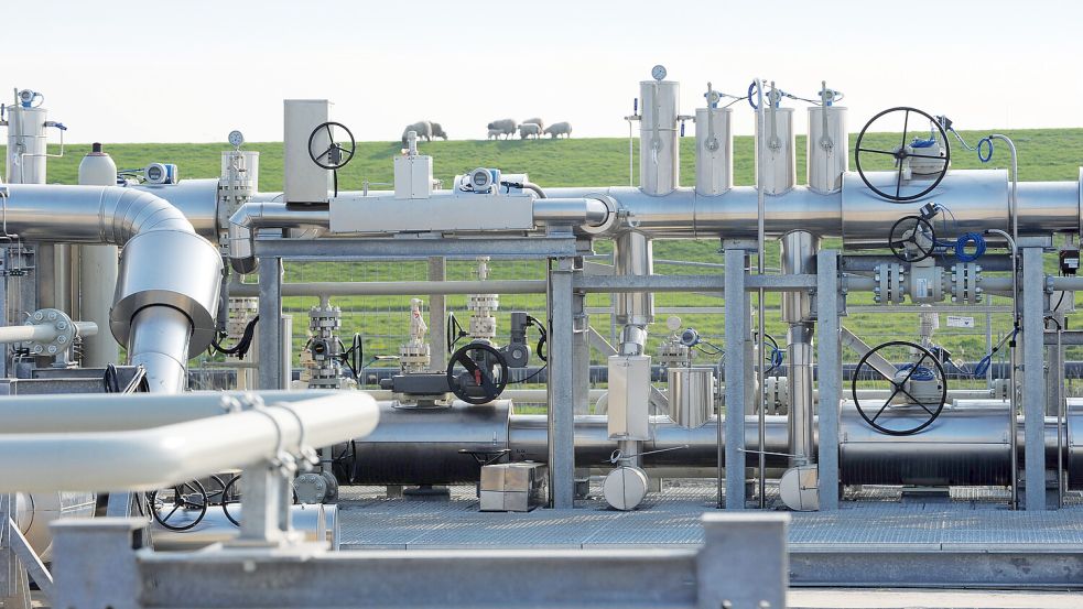 Schafe und Speicher: In Jemgum findet man beides. Foto: SEFE
