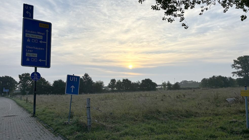 Noch immer im Dornröschenschlaf: die grüne Wiese in Wolthusen, wo Lidl neu bauen wollte. Foto: Schuurman