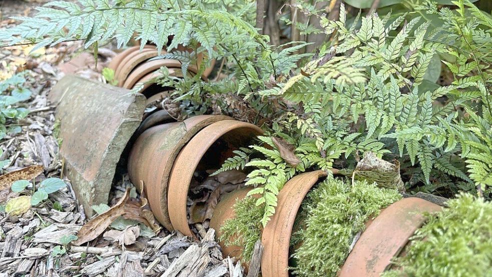 Schon dekorative Kleinigkeiten wie diese aufgereihten alten Tontöpfe bieten Tieren ein Zuhause. Foto: Kubassa