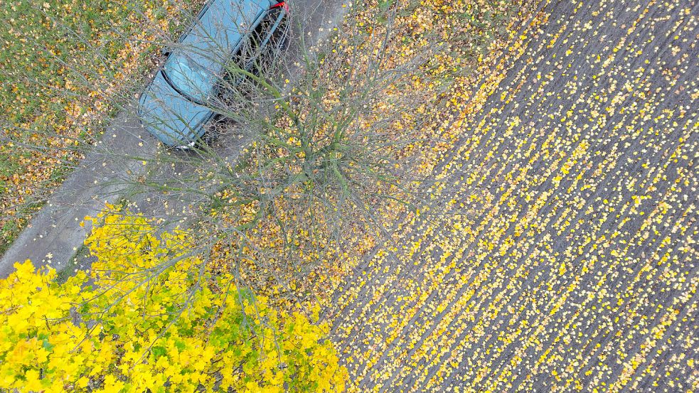 Das Auto sollte auf Herbst und Winter vorbereitet werden. Foto: Pleul/dpa