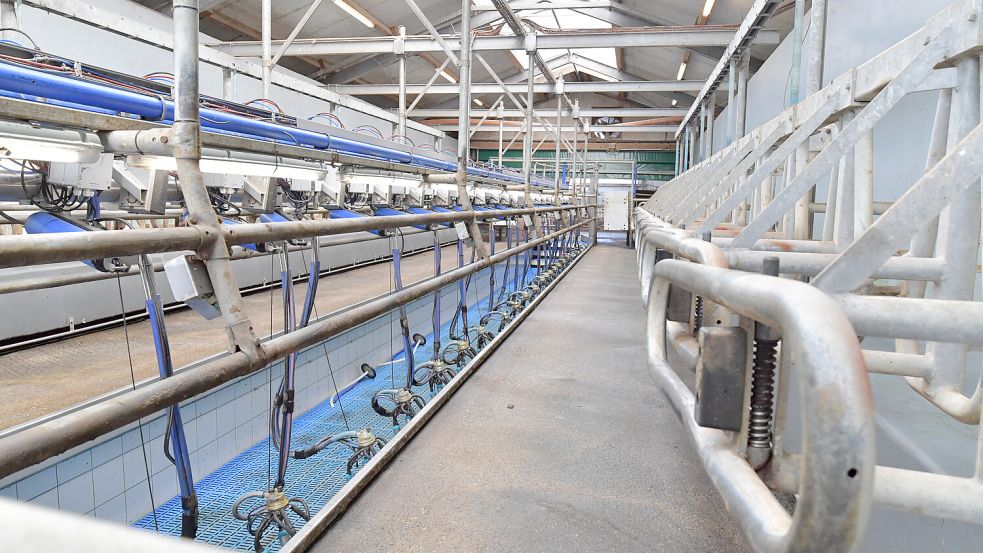 Den Melkstand hat Stefan Sweers selber geplant und gebaut. Foto: Ortgies