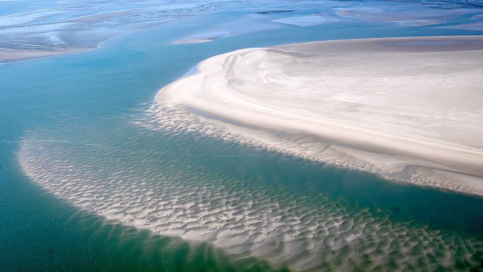 Das Niedersächsische Wattenmeer ist der zweitgrößte Nationalpark in Deutschland. Es ist der Lebensraum von über 100.000 Tier- und Pflanzenarten. Foto: Schuldt/dpa