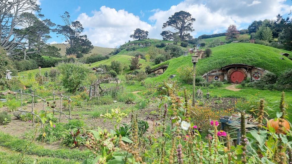 Das Hobbiton-Filmset mit dem Auenland aus Herr der Ringe begeisterte Rehaag. Foto: privat