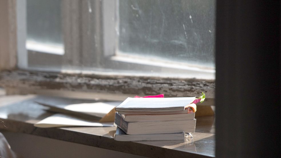 Schulbücher auf einer Fensterbank. Die Elternvertreter setzen sich auch für eine Lernmittelfreiheit in Niedersachsen ein. Foto: Gollnow/DPA