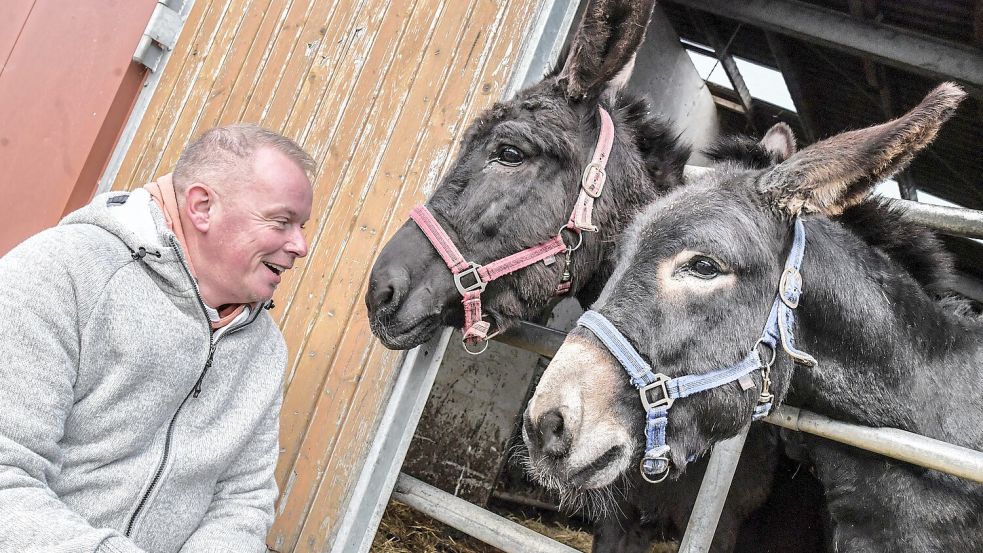 Bauer Heino hält auf seinem Milchviehbetrieb bei Wilhelmshaven auch Esel. Foto: Ortgies