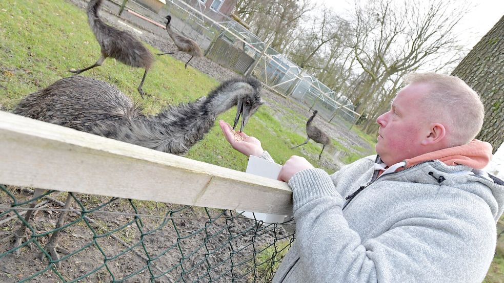 Bauer Heino hält allerlei Federvieh. Auch sechs Emus gehören zu seinem eigenen kleinen Streichelzoo. Foto: Ortgies