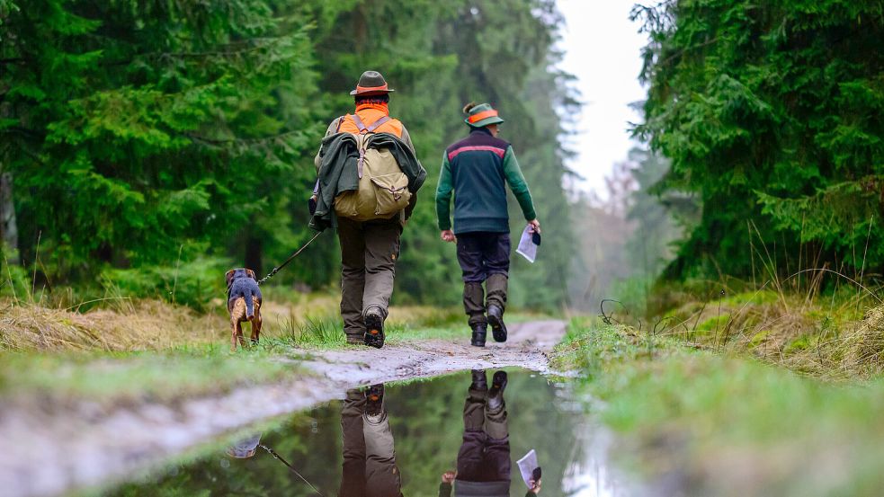 Zentrales Streitthema der Jäger ist die Frage, ob die Ausbildung von Jagdhunden mit lebenden Tieren wie Füchsen oder Enten erlaubt bleiben soll. Foto: dpa/Philipp Schulze