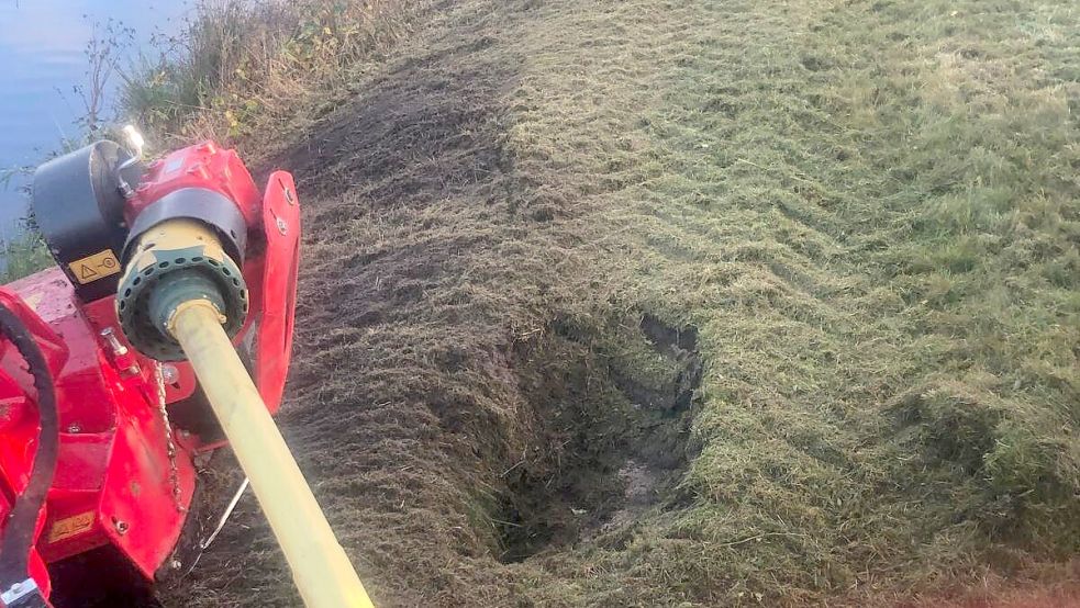 Willem Berlin, Obersielrichter der Sielacht Rheiderland, hat auf diesem Bild festgehalten, was durch Nutriaschäden passieren kann: „Beim Mulchen der Böschung sackte Plötzlich ein Rad des Fahrzeugs unter dem untergrabenen Ufer weg." Foto: Berlin