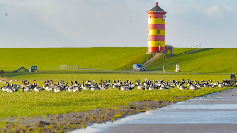 Der Pilsumer Leuchtturm ist ein beliebtes Ausflugsziel in der Krummhörn. Foto: Ortgies/Archiv