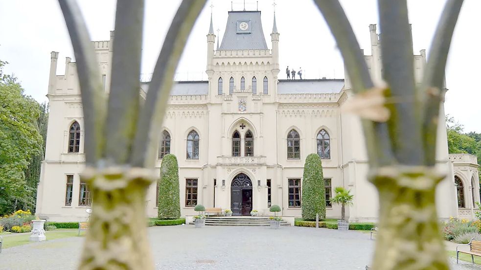 Im Schloss Evenburg waren 36 Stillleben von Henk Helmantel zu sehen. Der Landkreis Leer will die Sicherheitsvorkehrungen im Gebäude nun verschärfen lassen. Foto: Archiv