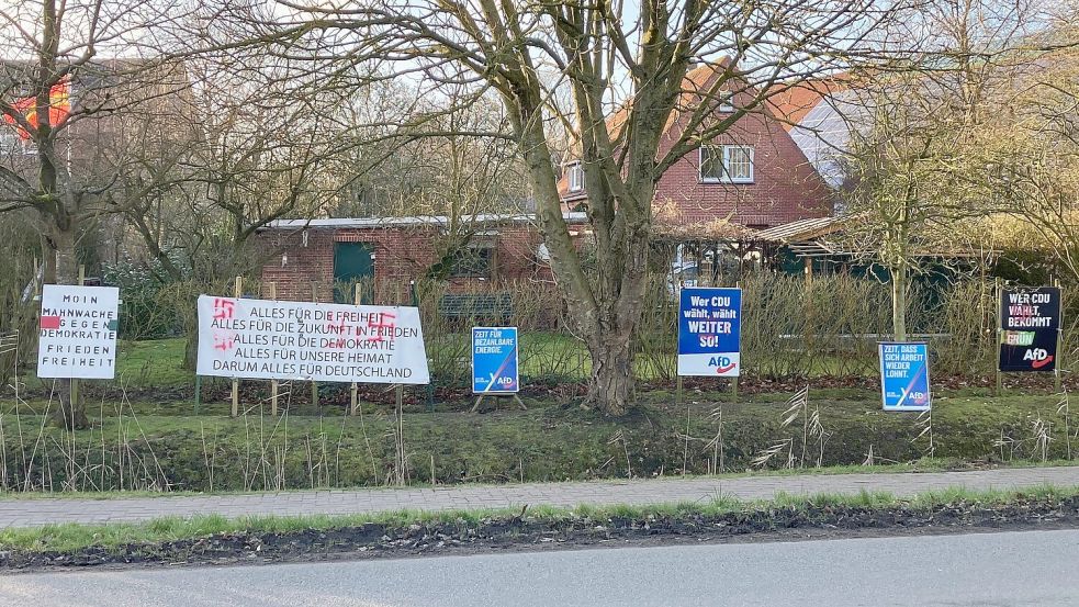 Zwischenzeitlich wurden Hakenkreuze auf das Schild gesprüht. Ringsumher steht Wahlwerbung für die AfD. Links im Foto scheint eine sogenannte Wirmer-Flagge zu wehen. Foto: Privat