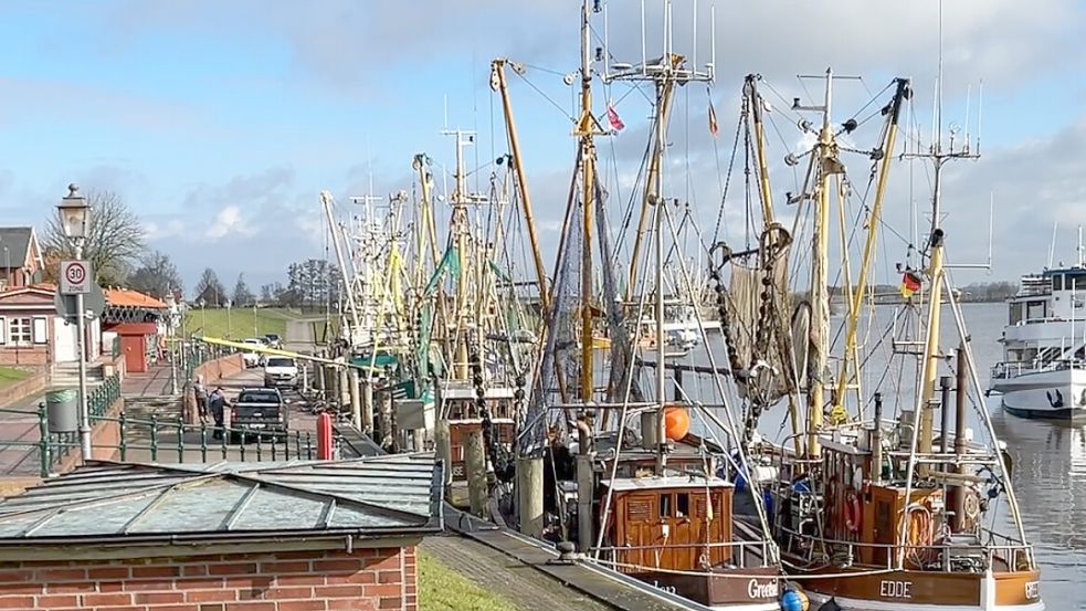 Meeresbrise statt Menschenmenge: Im Hafen von Greetsiel hört man eher das Kreischen der Möwen und das sanfte Plätschern der Wellen im Hafen als laute Partymusik. Foto: Tomé
