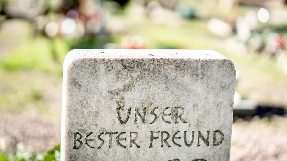 Ein Tierfriedhof bietet einen festen Ort des Trauerns und Erinnerns. Foto: Rumpenhorst/dpa/Archiv
