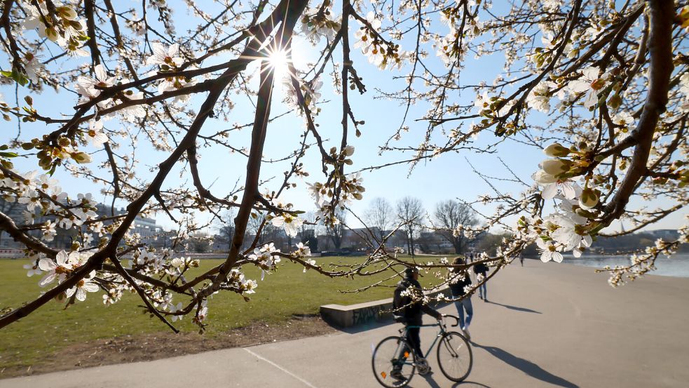 Am Wochenende erwartet die Menschen in Niedersachsen zunächst viel Sonnenschein und milde Temperaturen. Foto: dpa/Christian Charisius