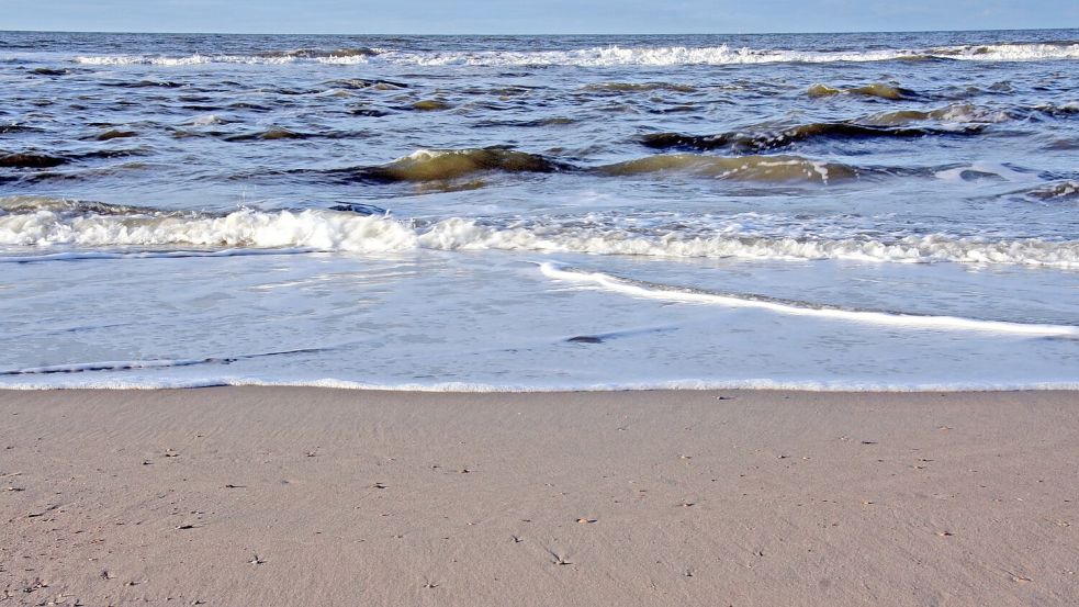 Norderney ist nicht nur ein Erholungsziel, sondern auch ein Zentrum für Natur- und Umweltschutz. Foto: I. Zwoch | nationalpark-wattenmeer.de