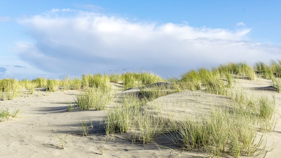 Auf Spiekeroog ist die Kurabgabe so hoch wie nirgendwo sonst in Deutschland. Foto: imago/Jochen Tack
