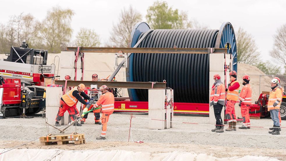 In Meppen wurde das Kabel von der 50 Tonnen schweren Trommel in die unterirdisch verlegten Rohre eingezogen. Foto: Amprion