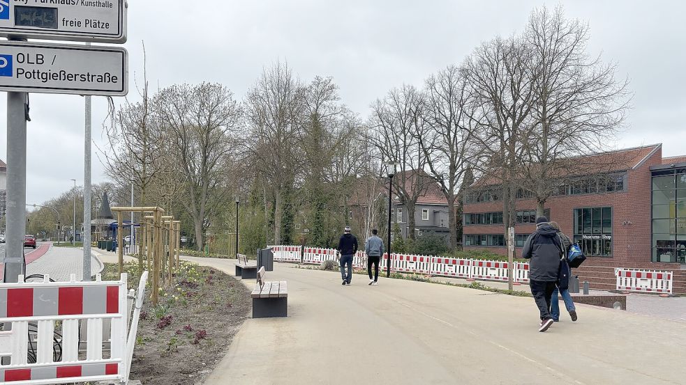 Insgesamt sollten 26 neue Bäume eingepflanzt werden, nachdem 23 gefällt wurden.