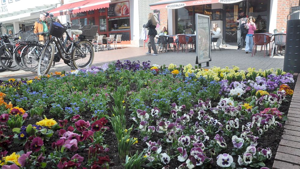 In der Fußgängerzone wurden die Beete neu bepflanzt. Foto: Wolters