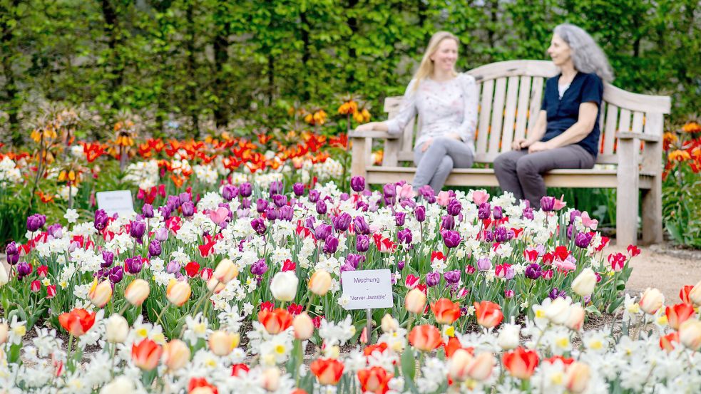 Zwei Frauen sitzen im Park der Gärten auf einer Bank inmitten von Blumenbeeten, in denen Kaiserkronen, Tulpen und Narzissen blühen. Foto: Dittrich/DPA