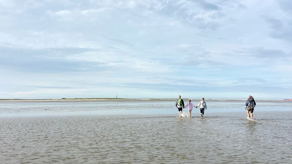 Wattwanderungen sind wunderbar: Doch sicherer sind sie, wenn ein zertifizierter Wattführer dabei ist, der einschätzen kann, wie viel Zeit bleibt, bis das Wasser gefährlich hoch steht. Foto: Hanz